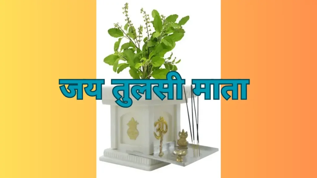 jay tulsi mata