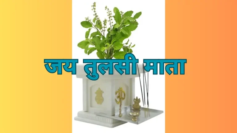 Read more about the article Tulsi Aarti | श्री तुलसी जी की आरती