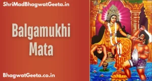 Read more about the article Mata Baglamukhi Kavach: शत्रु बाधा से मुक्ति दिलाए