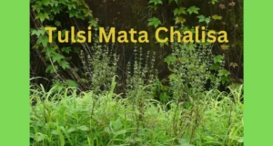 Read more about the article Tulsi Mata Chalisa: देव उठनी एकादशी और कार्तिक में तुलसी पाठ बहुत लाभकारी होता है
